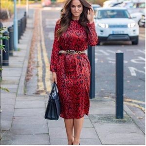 Zara midi length animal print dress